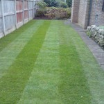 ...to this!