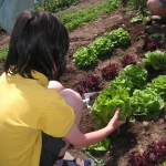 ...to growing vegetables with the children...