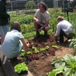 ...to growing vegetables with the children...